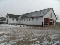 WGN sprzedaje stadninę koni w Sulejowie