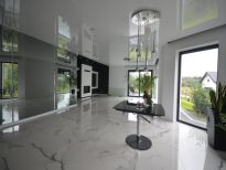 Luksusowy dom wolnostojący Dobryszyce